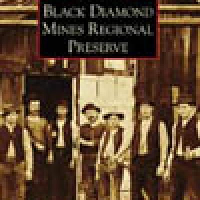 Black Diamond Mines book cover