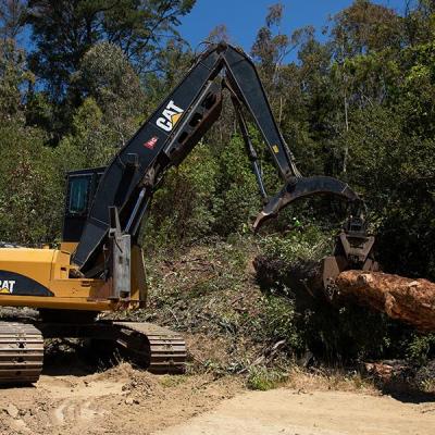 Excavadora derribando árboles muertos