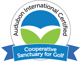 ACSP Golf logo for web