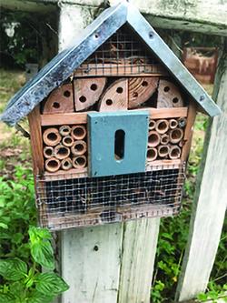 Photo of kitchen garden bee box