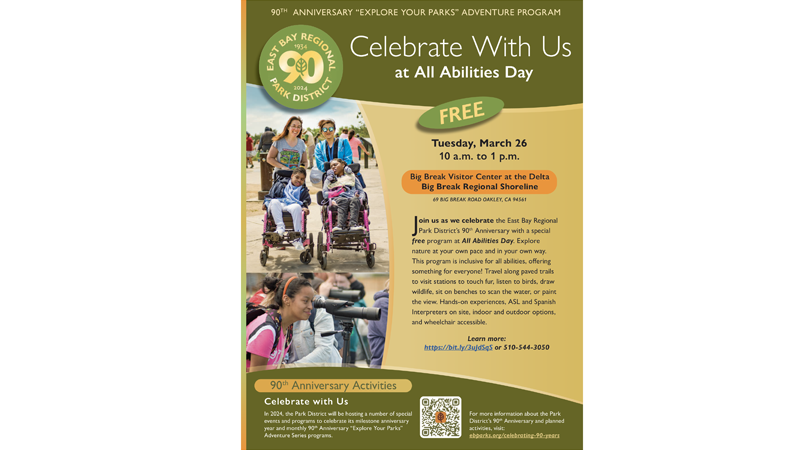 All Abilities Day Flyer