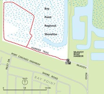 Bay Point Regional Shoreline: Harrier Loop