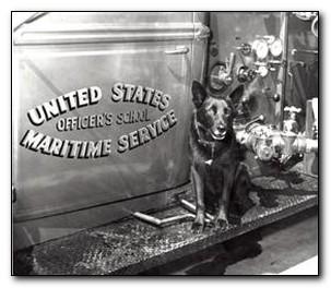 Dog Blackie posing with Fire Engine in 1945