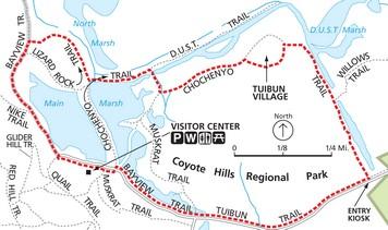Coyote Hills: Tuibun Village Loop