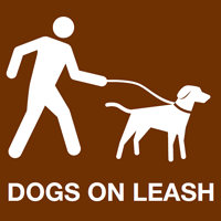 Dogs On Leash