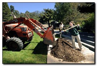 Adding mulch is a good way to enrich the soil and lock in moisture.