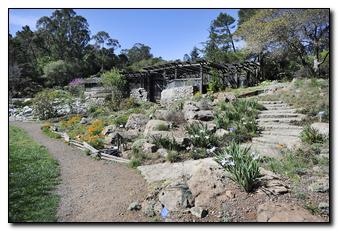 The East Bay Regional Parks’ Botanic Garden is a great place to learn about native-plant gardening.