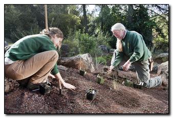We’re replacing turf with native and drought-tolerant plants in parks throughout the District.