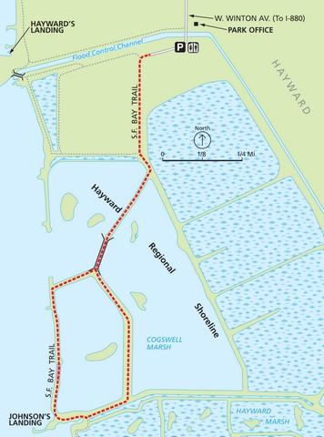 Hayward Shoreline: Cogswell Marsh Loop
