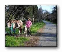 Iron Horse Trail horseback riders on the roadside