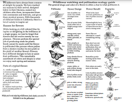 Pollinator Guide Thumbnail