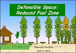 Reducing Wildfire Risk
