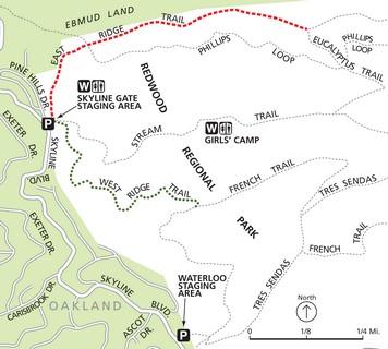 Reinhardt Redwood: East Ridge Trail
