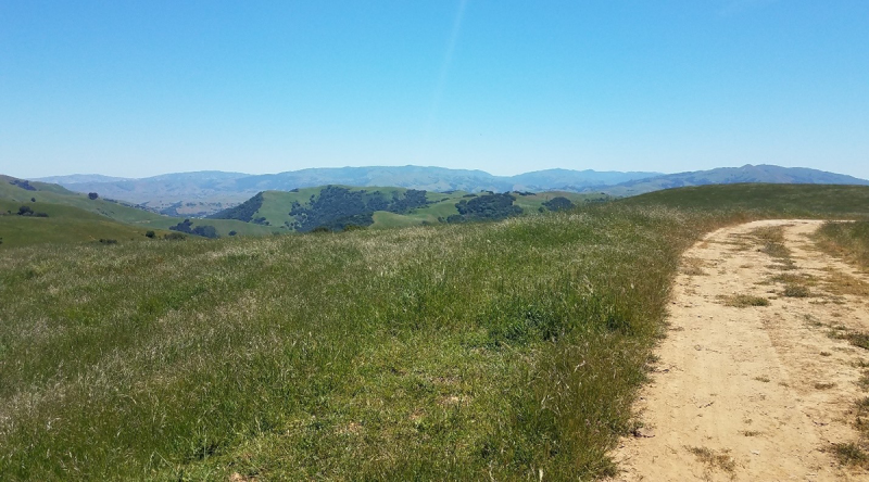 Bay Area Ridge Trail - Section of the future trail