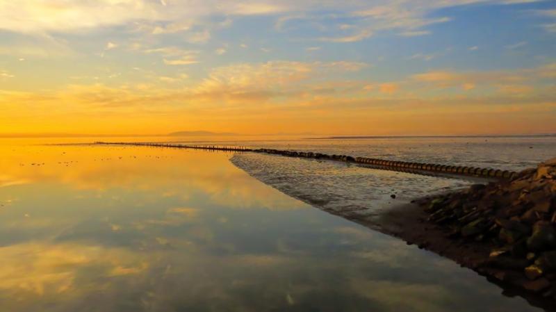 Sunset at Hayward Regional Shoreline by David Silva