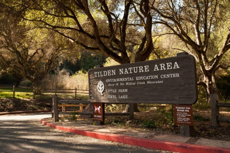 Tilden Nature Area Sign