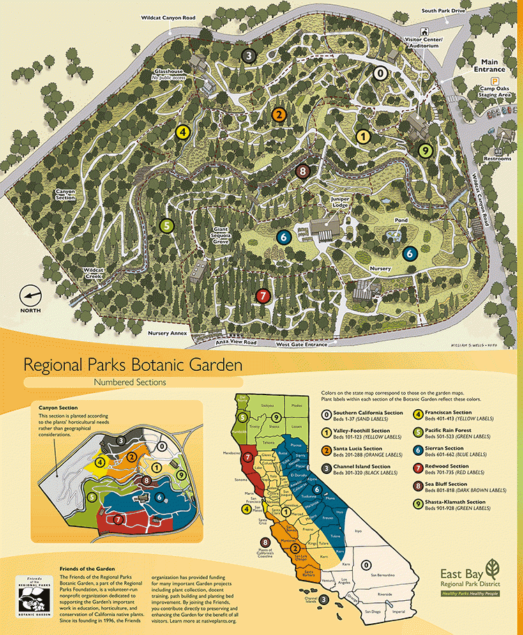 Tilden Botanic Garden map
