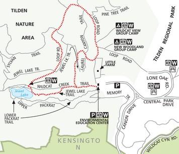 Tilden Nature Area: Jewel Lake Loop
