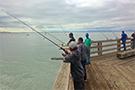 Fishing Middle Harbor