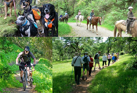 Trail photo collage