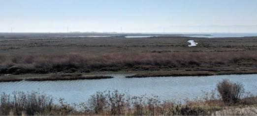 View of Cogswell Marsh from West Winton Landfill