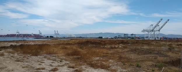 Future open space area in Alameda Point