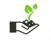 icon of hand holding sprouting plant