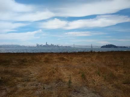 San Francisco skyline and Bay Bridge from the park