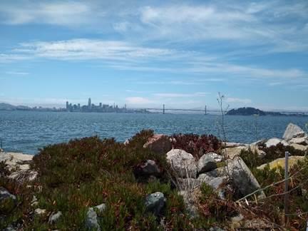 Views of the San Francisco Bay from the future regional shoreline park