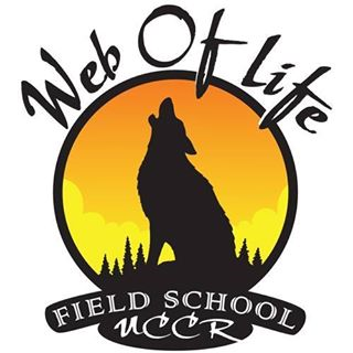 Web of Life Logo; wolf howling in front of trees with orange background 