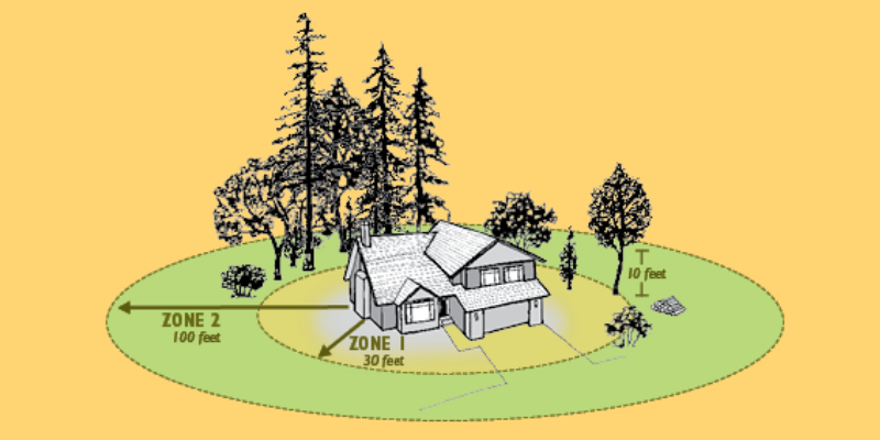 Infographic showing home at center with zones around it indicating how trees should be trimmed to minimize fire danger