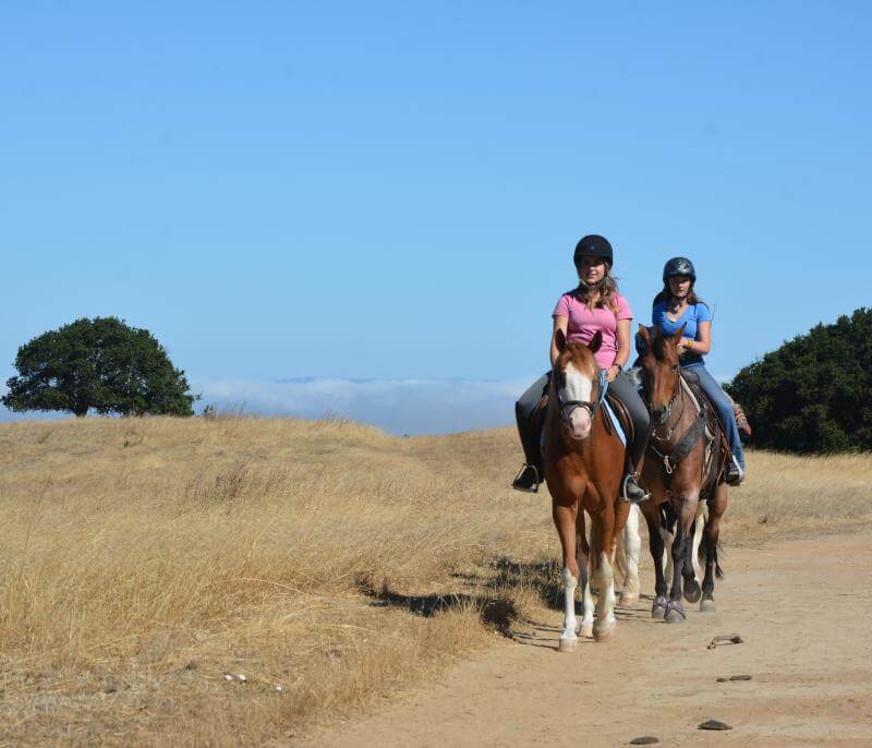 Equestrian trail users