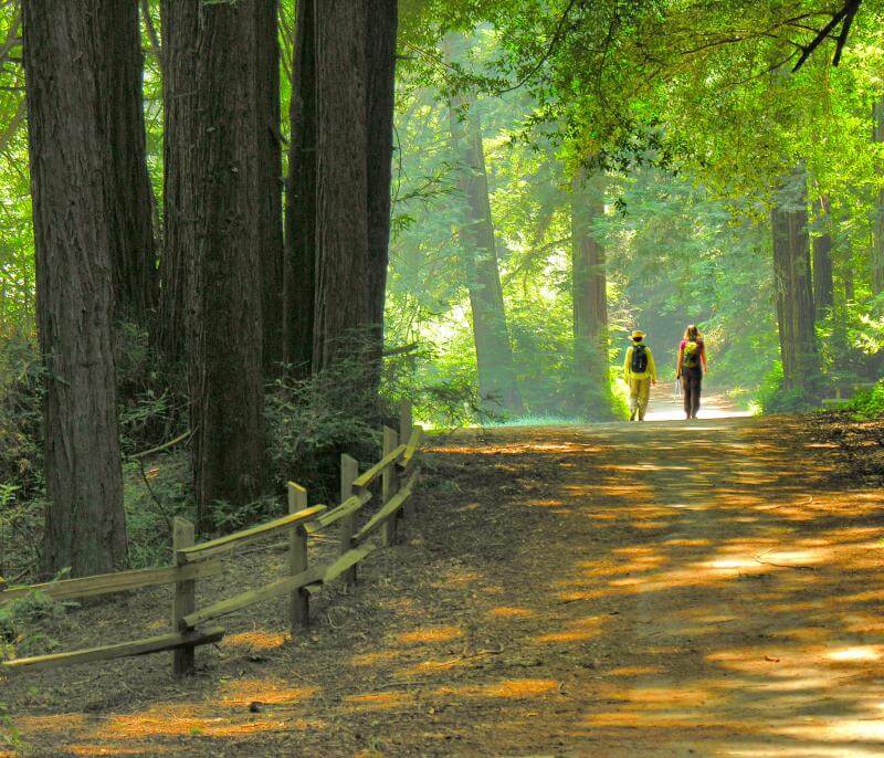 Excursionistas en Redwood Park