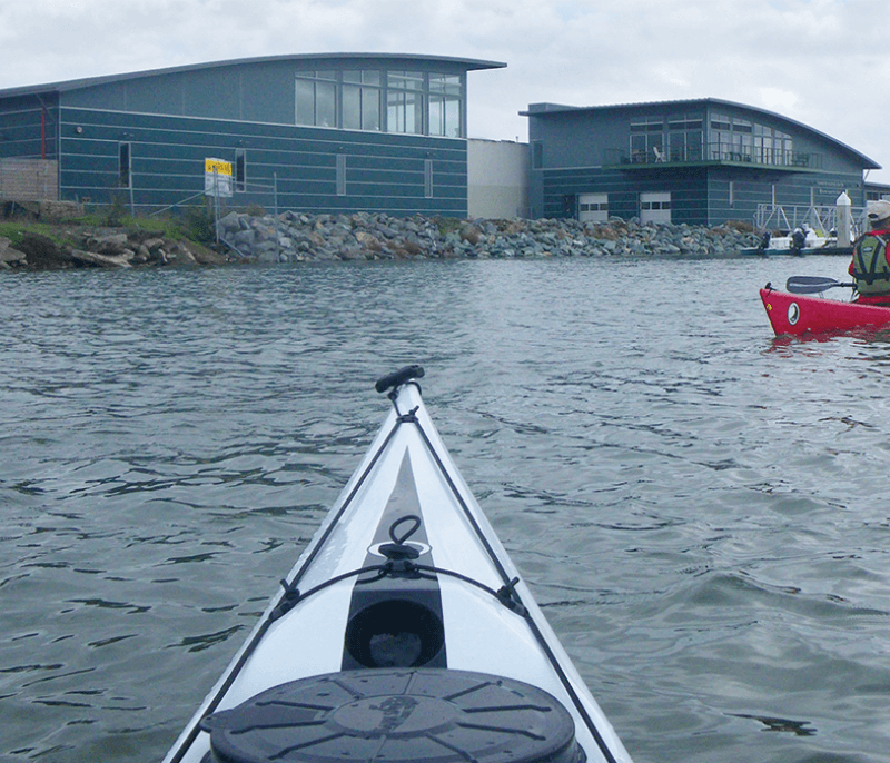 Kayaks at Tidewater Boating Center