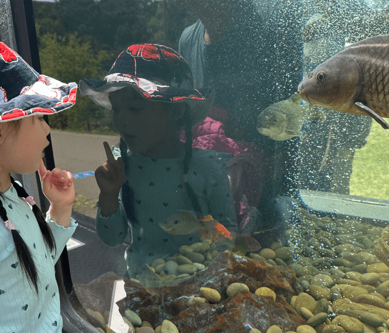 Child viewing the Mobile Fish Exhibit