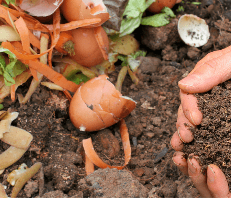 compost for a greener planet